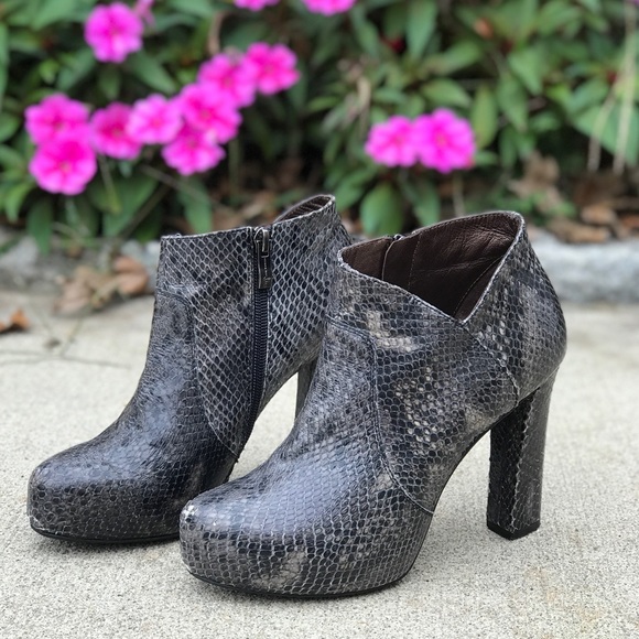 TOSCA BLU Shoes - Tosca Blu Snakeskin Pointed Toe Pumps